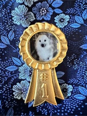 Gold Ribbon Rosette Brooch with Photo Center